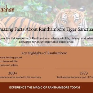 Amazing facts about ranthambore tiger sanctuary 