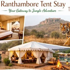 Ranthambore tent stay your gateway to jungle adventure