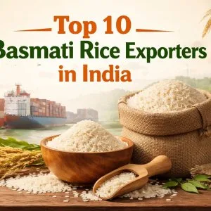 Top 10 basmati rice exporters in india shree krishna exports