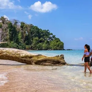 Luxury andaman tour package 5n6d