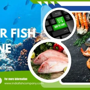 Quick fish delivery order fish online in india