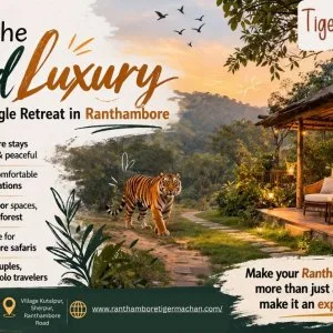 Into the wild luxury hidden jungle retreat in ranthambore