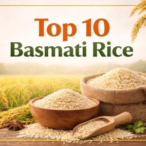 Top 10 basmati rice manufacturers in india