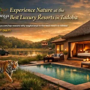Wagharanya luxury resorts in tadoba