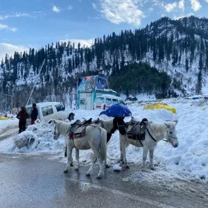 Best manali tour package