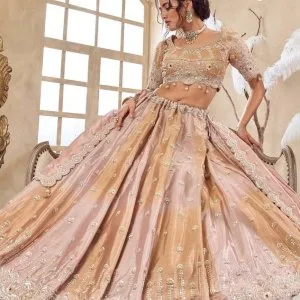 Tissue lehenga with zardozi work