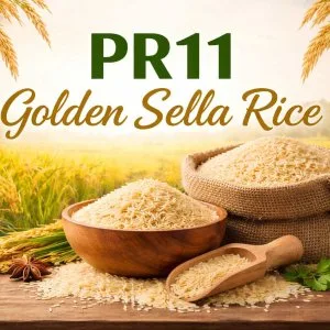 Pr11 golden sella rice manufacturers in india