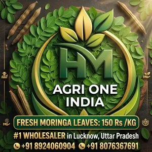100 pure moringa leaves a hm agrione