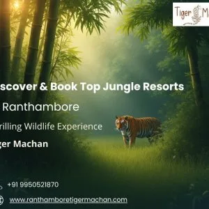 Discover book top jungle resorts in ranthambore for a thrillin
