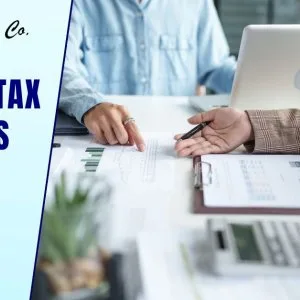 Income tax advisors