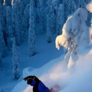 Arctic experience in finnish lapland