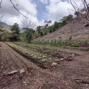 Massive mountain estate for sale salitral santa ana costa rica