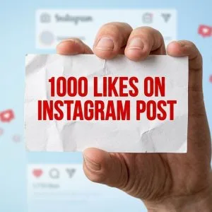 Instagram followers booster strategy