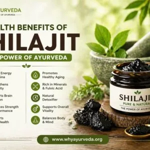 Shilajit pure & natural