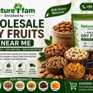 Naturefam wholesale dry fruits