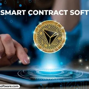 Rapid growth using best tron smart contract mlm software