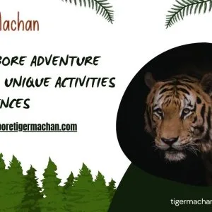 Ranthambore adventure stay with unique activities experiences
