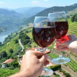 Wine tours in douro valley