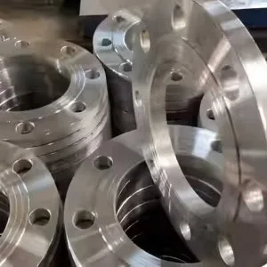 Stainless steel flanges manufacturer in india high quality c