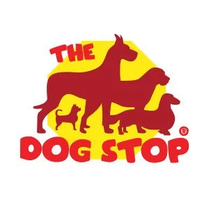 Premium dog daycare boarding services in kent wa the dog st