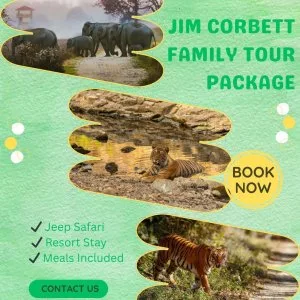 Jim Corbett Tour Package from Lucknow