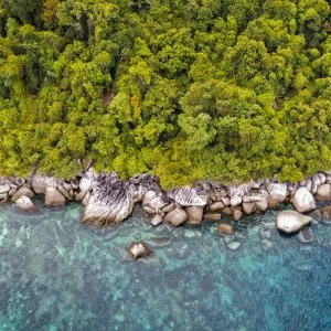 Tropical coastal landscape