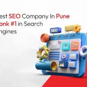 Seo services in pune seo company in pune seo experts india