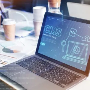 Smart webflow cms development for modern brands launch your si