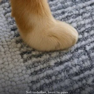 Hand tufted carpets