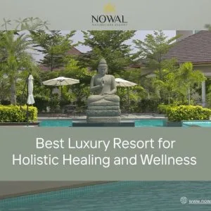 Best luxury resort for holistic healing and wellness