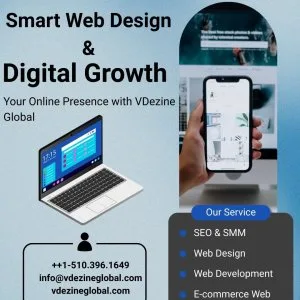 Hire expert web designers from india vdezine global