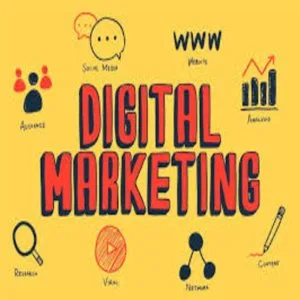 Top seo agencies with proven strategies