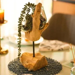 Elegant stick glass roots table vase decor for modern spaces
