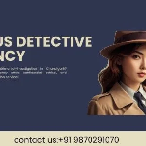 Best detective agency in chandigarh for postmatrimonialinvesti