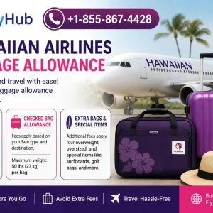 Hawaiian airlines baggage allowance