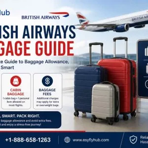 British airways baggage policy