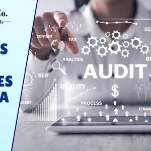 Business efficiency audit services in india