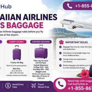 Hawaiian airlines rules baggage