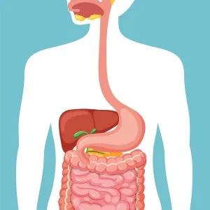 Gastroenterologist ahmedabad expert digestive health care