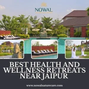 Best health and wellness retreats near jaipur