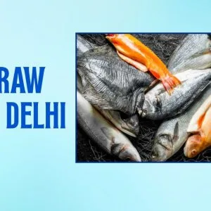 Premium seafood and fresh raw fish in delhi