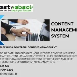 Professional content management system services for business