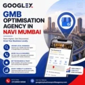 Google my business optimisation services