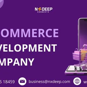 Top notch ecommerce development company