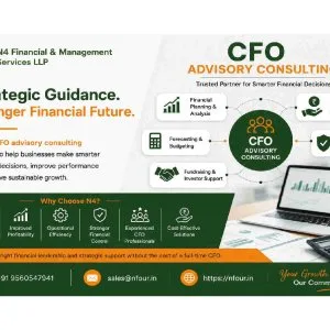 CFO advisory consulting