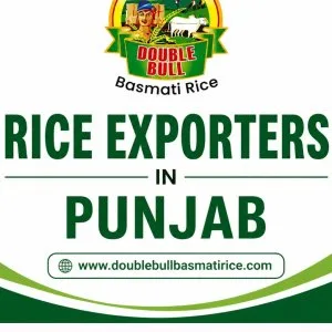 Rice exporters in punjab