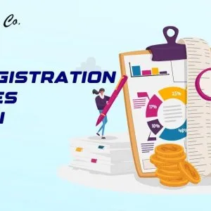 Advanced gst registration services in delhi for companies
