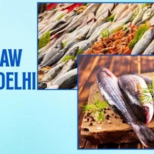 Professional fresh raw fish in delhi home delivery services