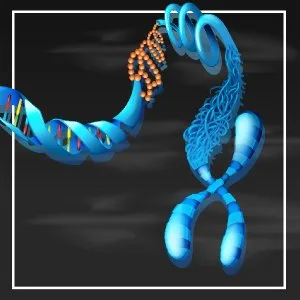Buy fluorescence microscope in india advanced imaging solution