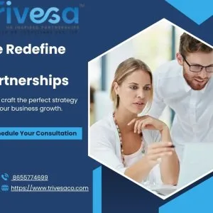 Trivesa hr consultant